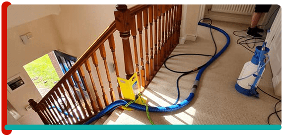 Carpet Cleaning Bicton